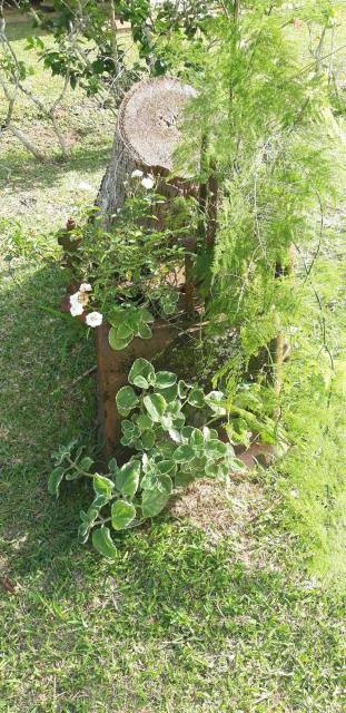 jardin_10.jpg